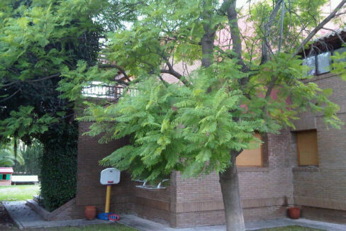 IMG00623-20111127-1303