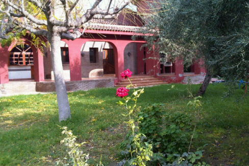 IMG00649-20111127-1343