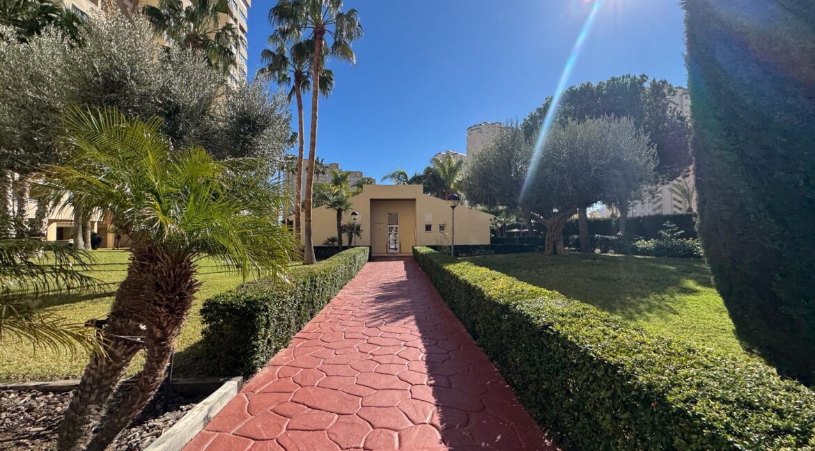 natura 2 larga temporada 11 40