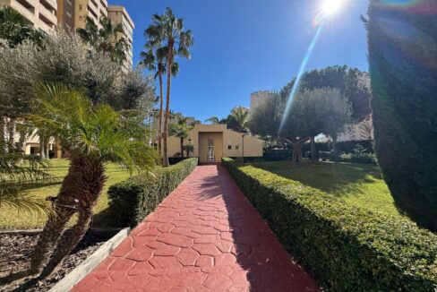 natura 2 larga temporada 11 40