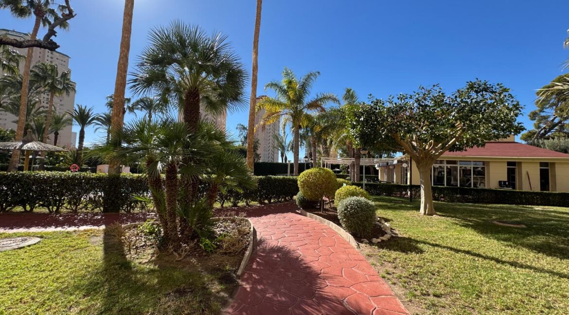 natura 2 larga temporada 11 43