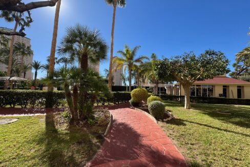 natura 2 larga temporada 11 43