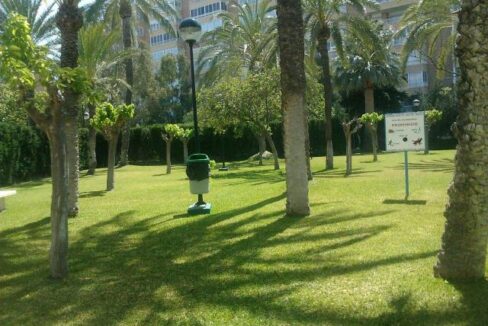 JARDINES