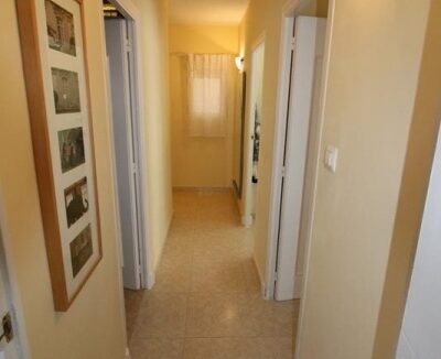 IMG_0220-Copy