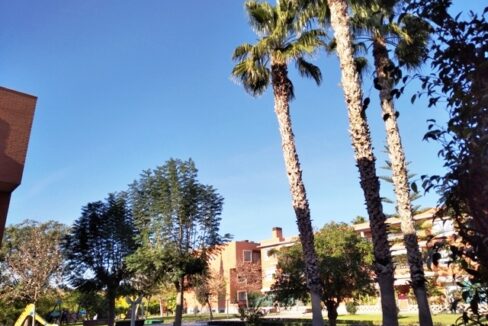 IMG_20201224_115414
