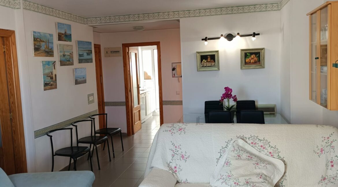 Sala de estar-Comedor (5)