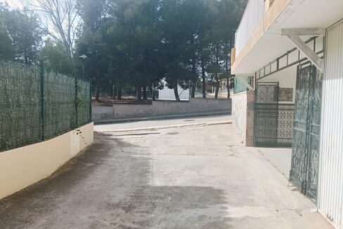 IMG20250312113912