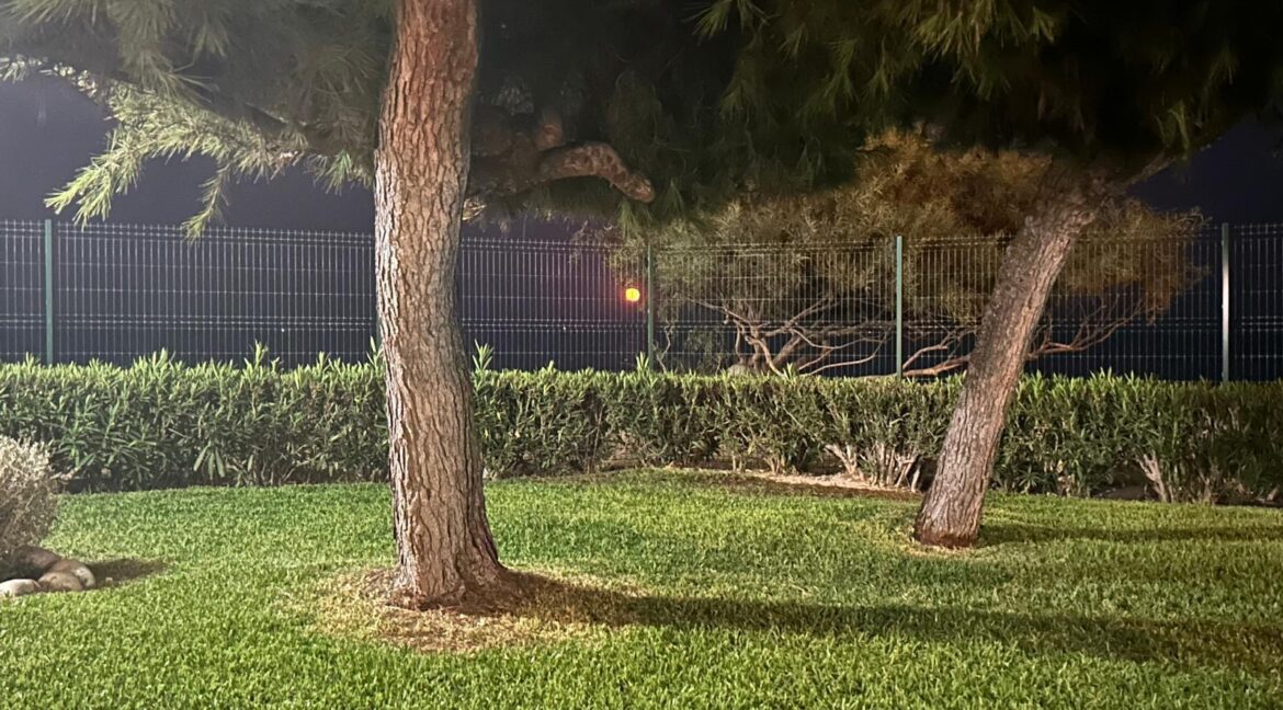 7e7f2916-154f-4bc5-9473-0c6a9682f4b5