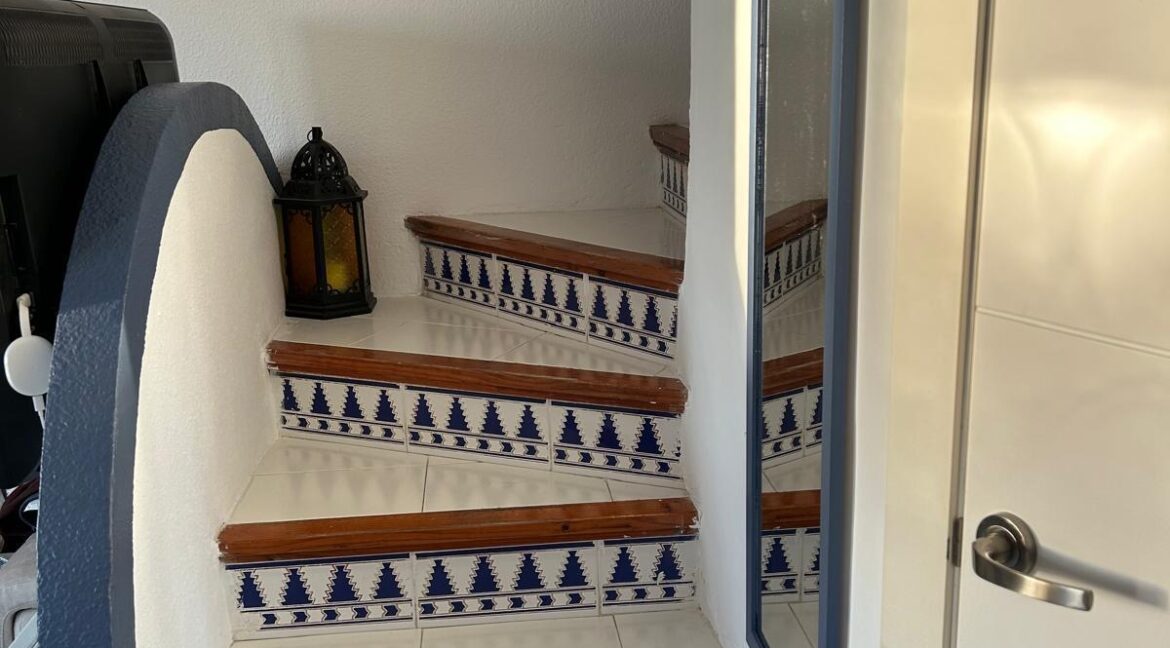 b09f1a5d-69b2-4c00-87d8-30a3165be42c