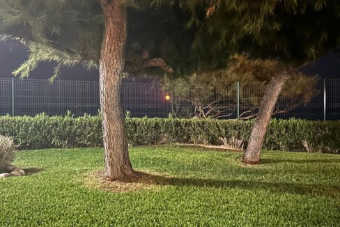 7e7f2916-154f-4bc5-9473-0c6a9682f4b5