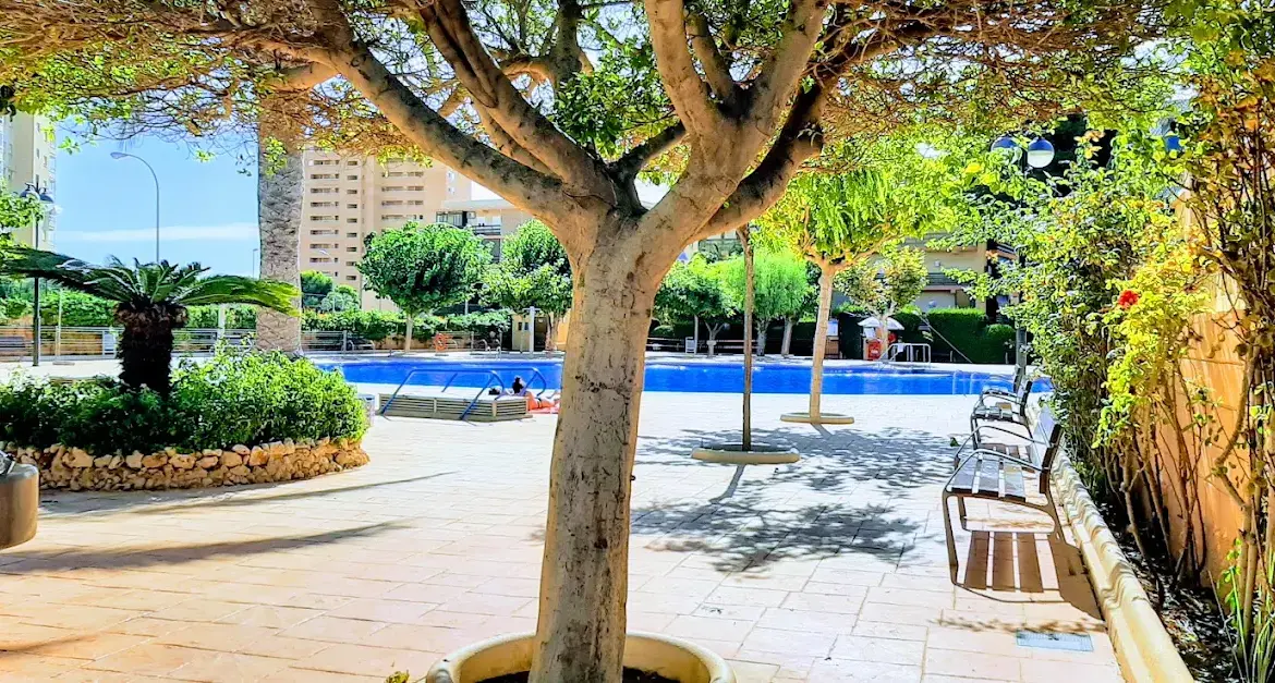 EFFECTS - copia - copia