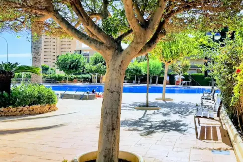 EFFECTS - copia - copia