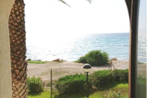 WhatsApp Image 2025-07-31 at 14.59.05