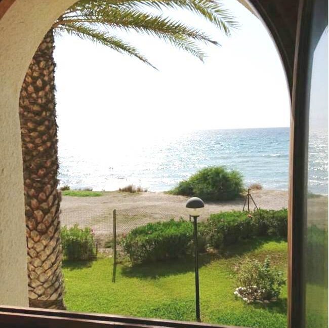 WhatsApp Image 2025-07-31 at 14.59.05