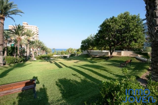 JARDIN 2-001