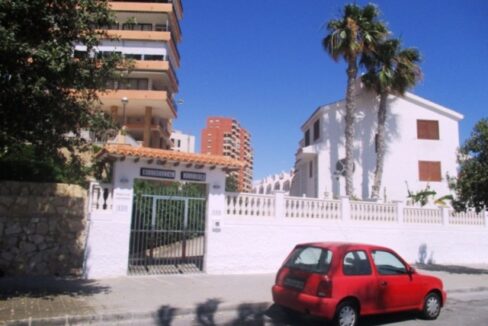 IMG_2456 - copia - copia